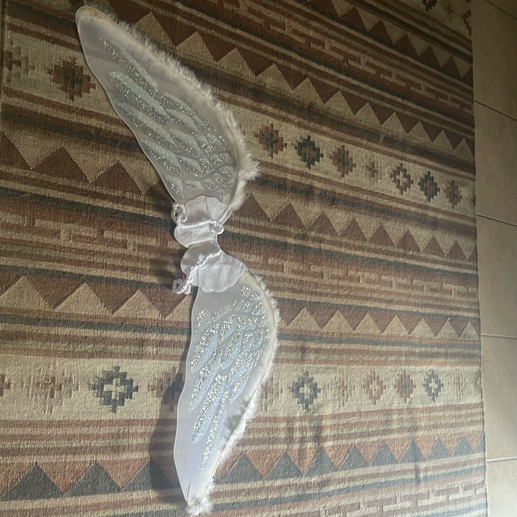 Angel Wings Fairy Wings